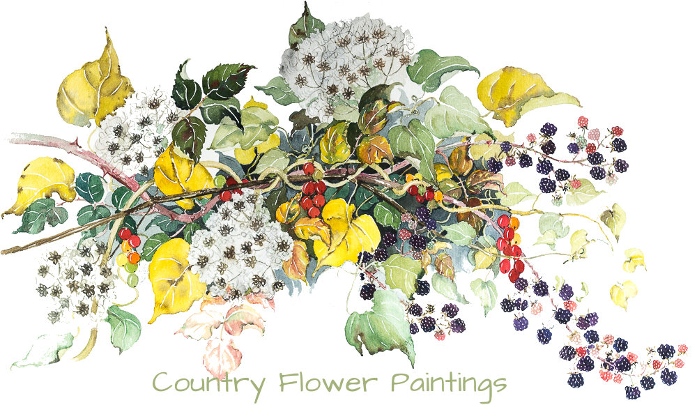 paintings-flowers-and-hedgerow